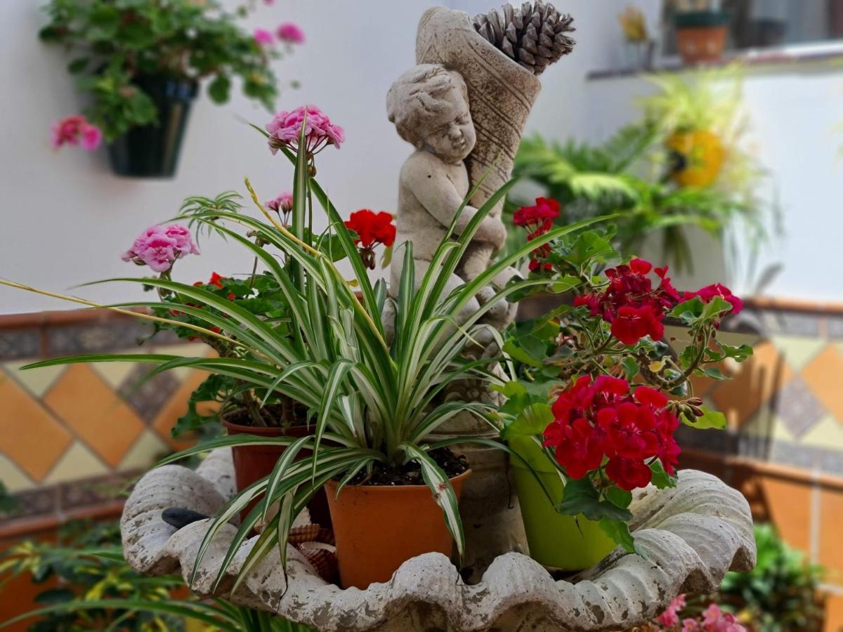 Apartamentos El Barrio Nerja Bagian luar foto